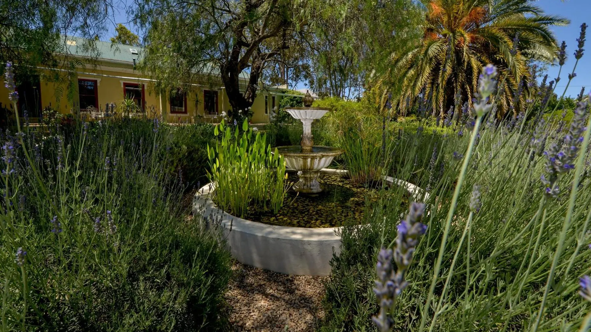 Darling Lodge Guest House 3*,  Afrique du Sud